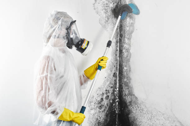 Best Industrial Mold Remediation  in Lake Geneva, WI