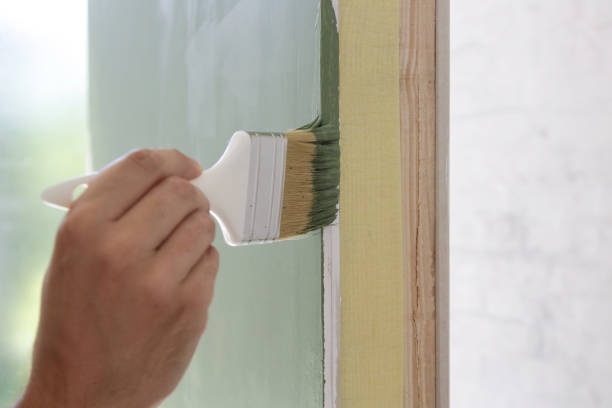 Best Mold Odor Removal Services  in Lake Geneva, WI