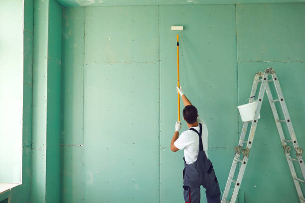 Best Mold Damage Restoration  in Lake Geneva, WI