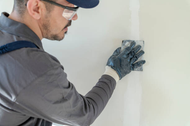 Best Industrial Mold Remediation  in Lake Geneva, WI