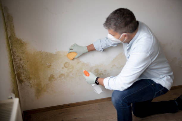 Best Airborne Mold Testing  in Lake Geneva, WI