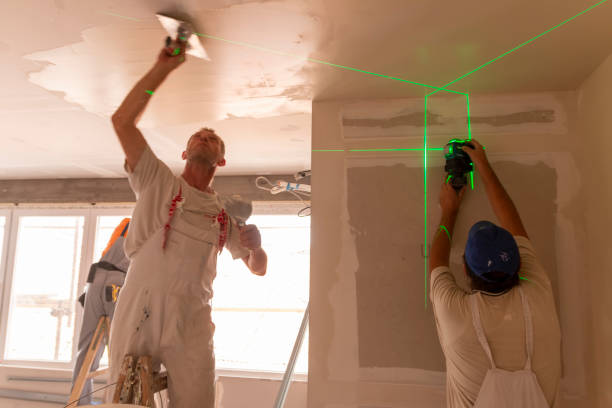 Best Asbestos and Lead Testing During Mold Inspection  in Lake Geneva, WI
