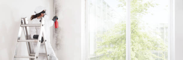 Best Forensic Mold Investigation  in Lake Geneva, WI