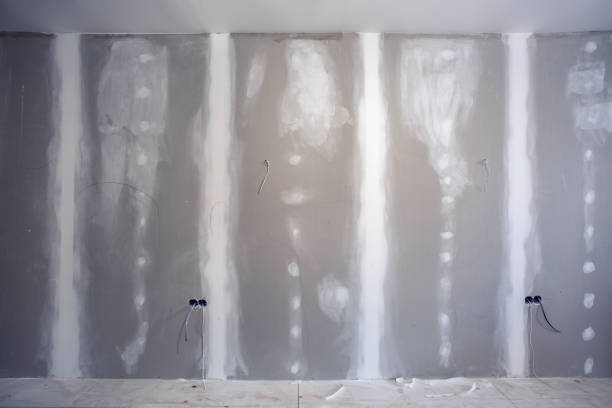 Best Crawl Space Mold Remediation  in Lake Geneva, WI