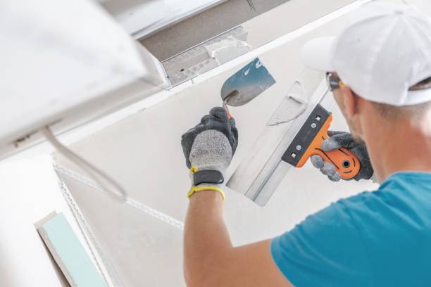 Best Post-Construction Mold Inspection  in Lake Geneva, WI